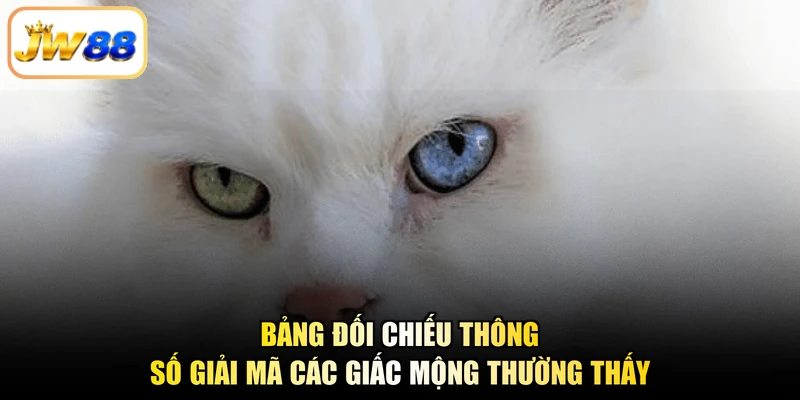 Bảng đối chiếu thông số giải mã các giấc mộng thường thấy