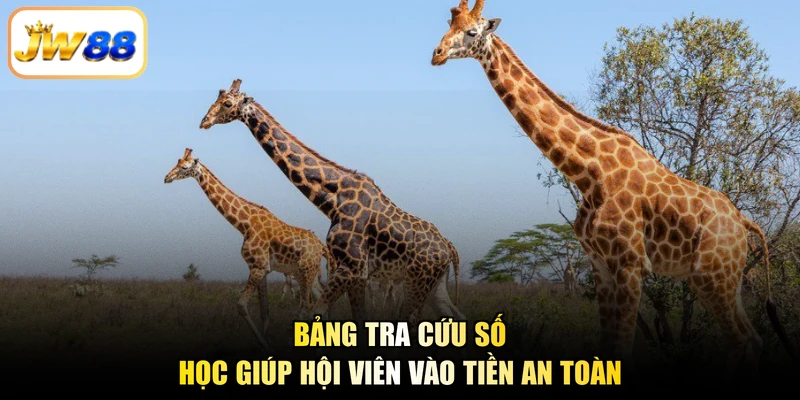 Bảng tra cứu số học giúp hội viên vào tiền an toàn
