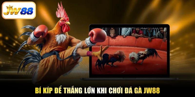 Bí kíp để thắng lớn khi chơi đá gà JW88