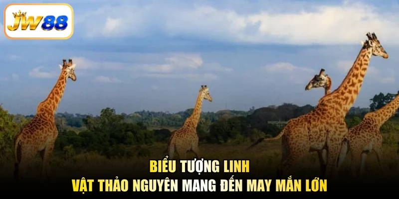 Biểu tượng linh vật thảo nguyên mang đến may mắn lớn