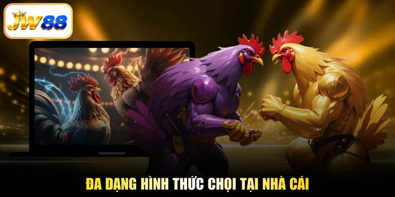 Đa dạng hình thức chọi tại nhà cái