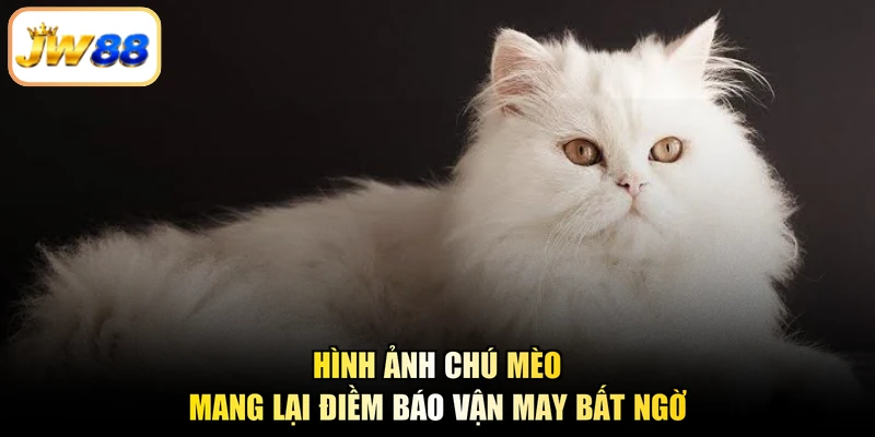 Hình ảnh chú mèo mang lại điềm báo vận may bất ngờ