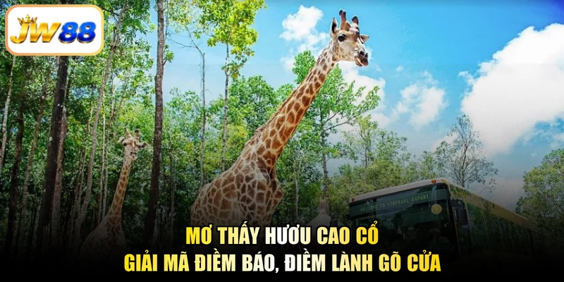 Mơ Thấy Hươu Cao Cổ – Giải Mã Điềm Báo, Điềm Lành Gõ Cửa